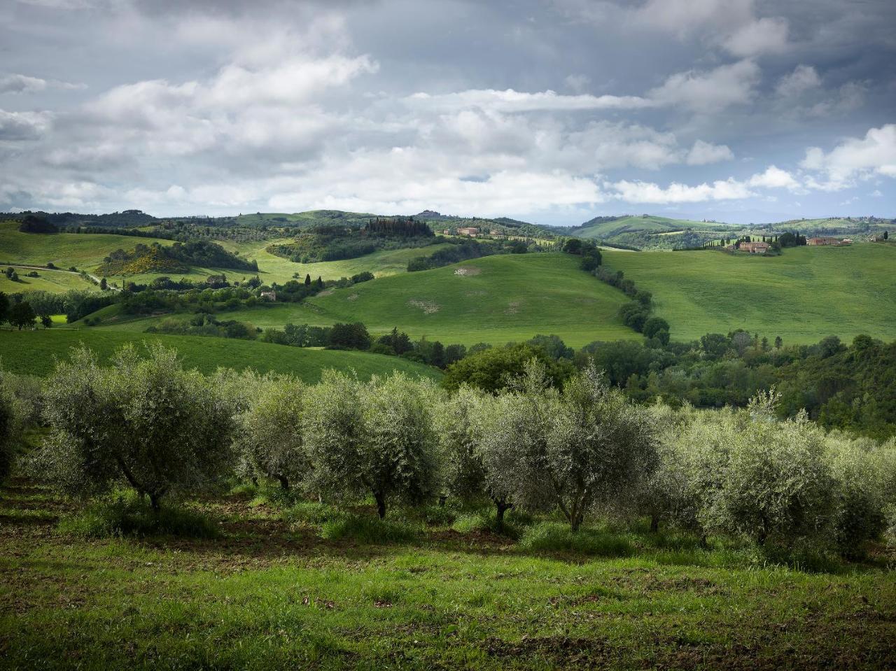 Borgo Lucignanello Bandini Villa San Giovanni dʼAsso Exteriör bild